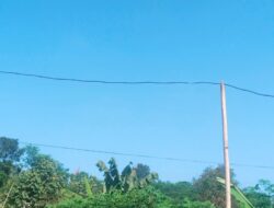 Cuaca Jatim Hari Ini Didominasi Cerah, BMKG Ingatkan Potensi Hujan Ringan di Sejumlah Wilayah