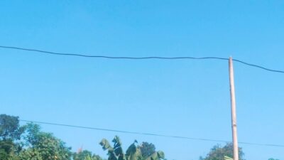 Cuaca Jatim Hari Ini Didominasi Cerah, BMKG Ingatkan Potensi Hujan Ringan di Sejumlah Wilayah