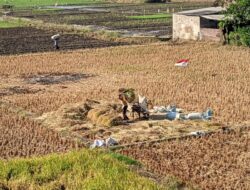 BMKG: Cuaca Jawa Timur Didominasi Cerah Berawan pada Kamis