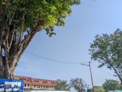 Cuaca Jawa Timur Didominasi Cerah Berawan pada Senin, 13 Juli 2026