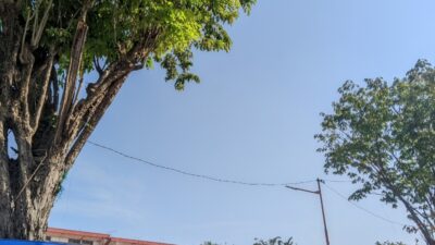 Cuaca Jawa Timur Didominasi Cerah Berawan pada Senin, 13 Juli 2026