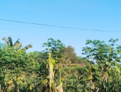 Cuaca Jatim 18 Juli 2026: Cerah Berawan Mendominasi, Hujan Lokal Masih Berpotensi Terjadi