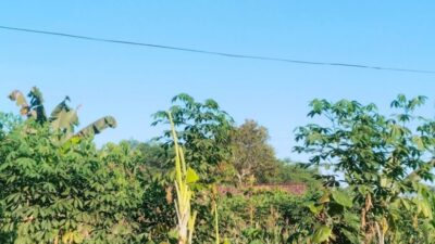 Cuaca Jatim 18 Juli 2026: Cerah Berawan Mendominasi, Hujan Lokal Masih Berpotensi Terjadi