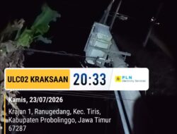 Angin Kencang Robohkan Pohon, Listrik di Krucil, Tiris, dan Sebagian Maron Sempat Padam