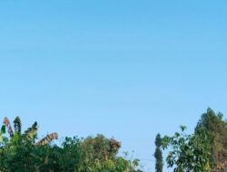 Cuaca Jatim Jumat 31 Juli 2026 Didominasi Cerah Berawan, Hujan Ringan Berpotensi Guyur Batu dan Sumenep