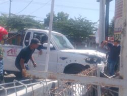 Pikap KDMP Tabrak Honda PCX dan Tembok Minimarket di Pantura Pasuruan, Pengendara Motor Luka Parah