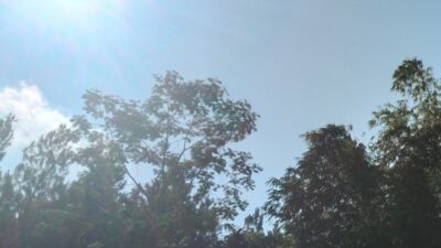 Cuaca Jawa Timur Kamis 6 Agustus 2026, BMKG Waspadai Angin Kencang