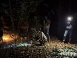 Lansia 71 Tahun Ditemukan Tewas di Kebun Jeruk Pasuruan, Polisi Duga Korban Pembunuhan