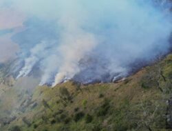 PMI Probolinggo Bantu Padamkan Karhutla di Gunung Bromo