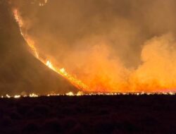 Kebakaran Bromo Meluas, Area Terdampak Capai 520 Hektare