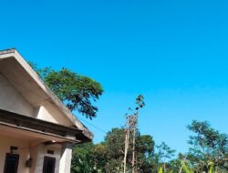 Cuaca Jawa Timur Hari Ini, Rabu 12 Agustus 2026: Kemarau Masih Mendominasi