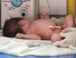 Bayi Laki-laki Ditemukan dalam Laci Rombong Pentol di Tongas, Polisi Selidiki Pelaku