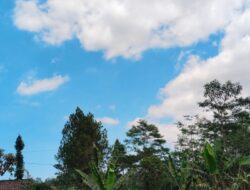 BMKG Waspadai Angin Kencang di Jawa Timur pada Sabtu 5 September