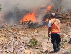 BNPB Catat Karhutla di Empat Daerah, 16 Hektare Lahan Terbakar