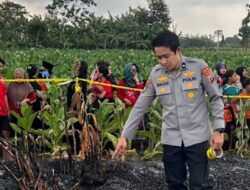 Pria 70 Tahun Tewas di Ladang Tebu Probolinggo, Polisi Selidiki Penyebabnya
