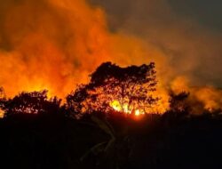 BMKG: Potensi Asap Karhutla Kalimantan Masuk Jatim Rendah, Dua Penerbangan Juanda Batal