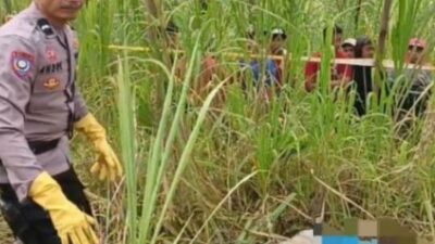 Warga Ditemukan Tewas di Hutan Sumber, Polisi Dalami Luka pada Tubuh Korban