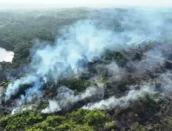 Karhutla Belum Terkendali, BNPB Catat 26.681 Hektare Lahan Masih Terbakar