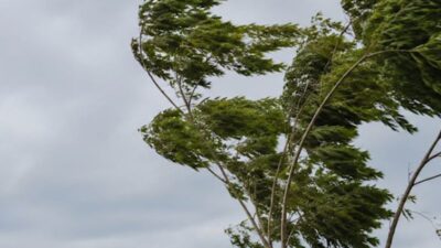 Cuaca Jatim 13 Oktober: Panas Menyengat, Potensi Angin Kencang Mengintai