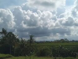 Cuaca Jatim Hari Ini Didominasi Berawan, Hujan Lokal Masih Berpotensi Turun