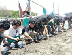 Pesisir Terancam Abrasi, BEM SI dan KNPI Probolinggo Tanam 500 Mangrove