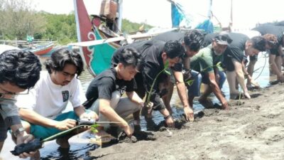 Pesisir Terancam Abrasi, BEM SI dan KNPI Probolinggo Tanam 500 Mangrove
