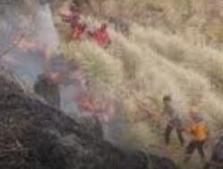 Tiga Orang Tewas Terjebak Api saat Padamkan Karhutla di Bromo
