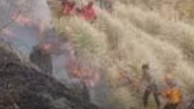 Tiga Orang Tewas Terjebak Api saat Padamkan Karhutla di Bromo