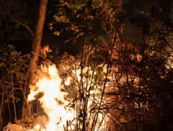 Karhutla Arjuno-Welirang Meluas, Petugas Fokus Padamkan Titik Api