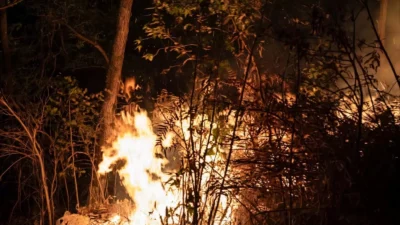 Karhutla Arjuno-Welirang Meluas, Petugas Fokus Padamkan Titik Api