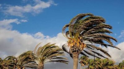 Cuaca Jatim Hari Ini Didominasi Cerah hingga Berawan, Suhu Bisa Tembus 38 Derajat Celsius
